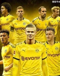  多特蒙德新援哈兰德首秀破门，助球队绝杀法兰克福  